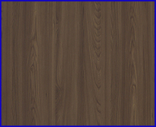Borneo Brown