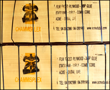 Film Faced (CHAMMISPLEX) Plywood
