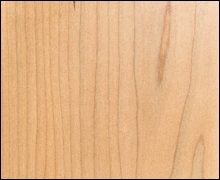 Maple Wood