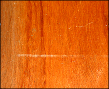 Bilinga Wood
