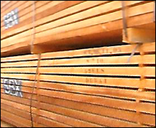 African Timber